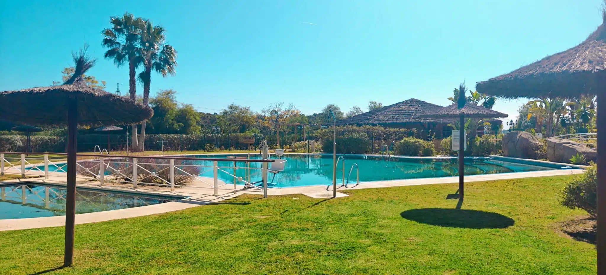 Piscine commune avec pelouse, palmiers et parasols en chaume – appartement à louer, Parque Botanico, Benahavís (réf. AL035)