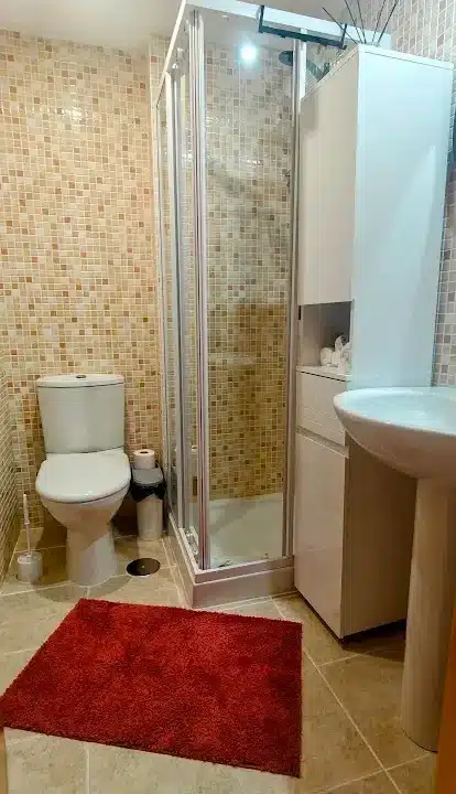 Baño con ducha de mosaico, inodoro, lavabo con pie y alfombra roja – ático en alquiler, Casares del Sol, Casares (ref. AL013)