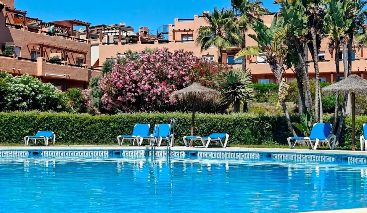 Piscina con tumbonas azules, seto, palmeras – ático en alquiler, Casares del Sol, Casares (ref. AL013)
