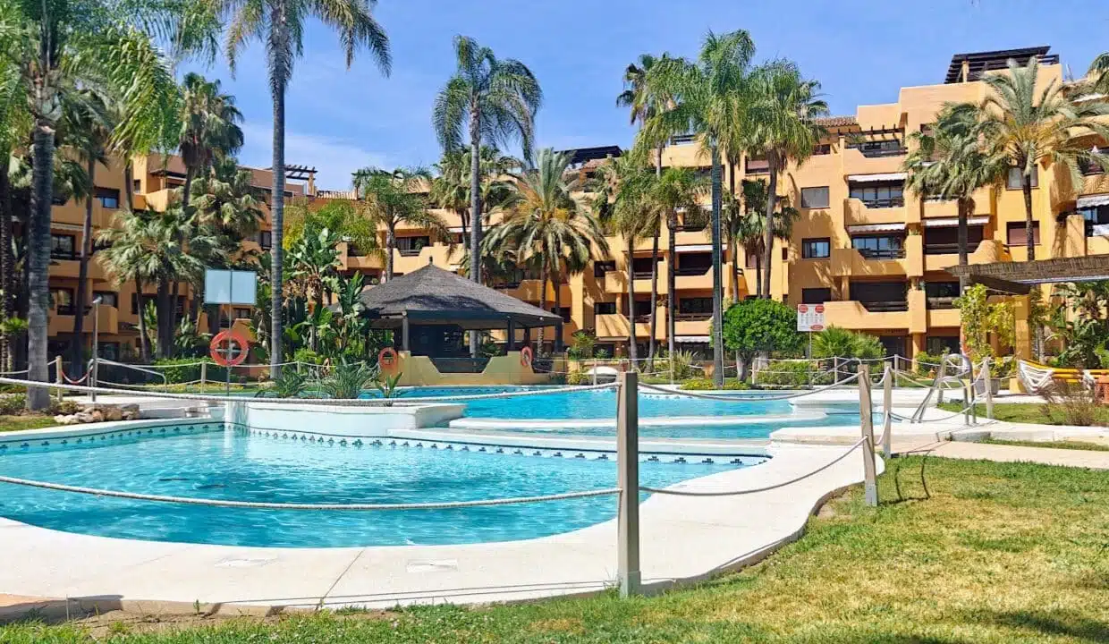 Communal pool with palm trees, lawn – apartment for rent, Terrazas de Costalita, Estepona (ref. AL037)