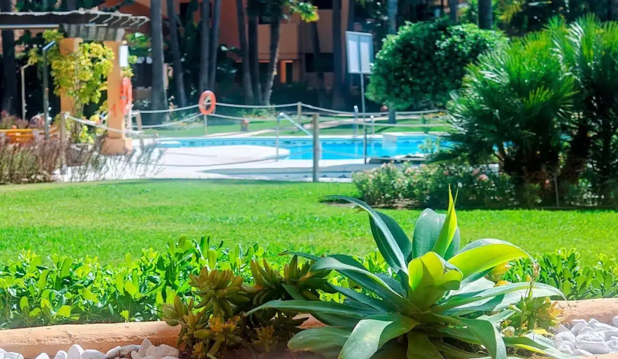 Garden with succulents, lawn and pool in the background – apartment for rent, Terrazas de Costalita, Estepona (ref. AL037)